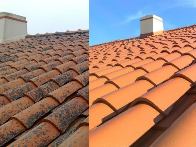 Avant intervention à Démoussage à La Coudoulière