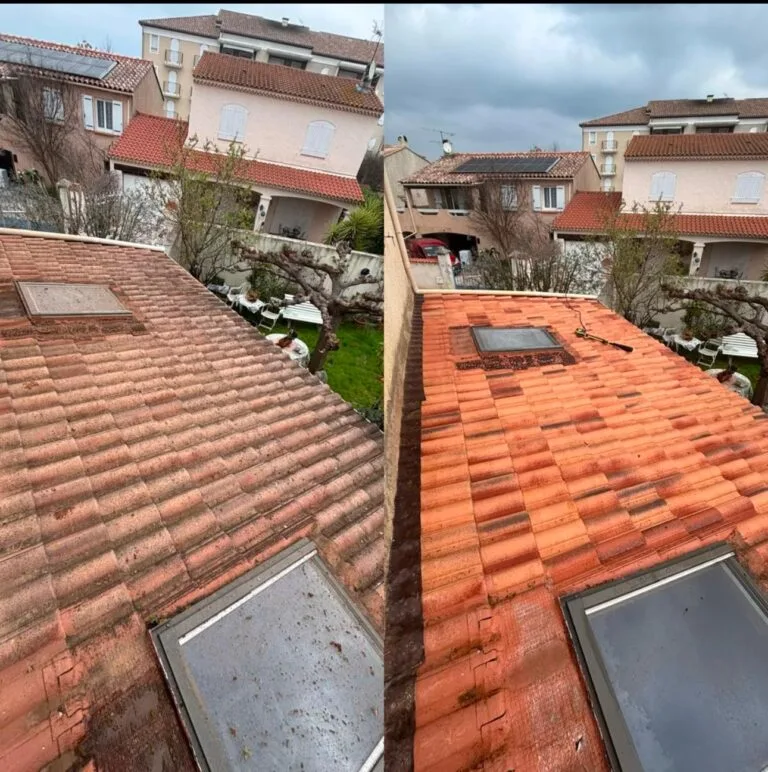 Avant intervention à Urgence après mistral à Bonnegrâce